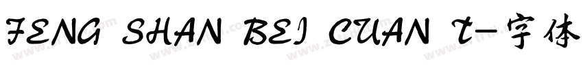 FENG SHAN BEI CUAN T字体转换